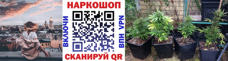Наркошоп купить COCAIN  Меф мяу мяу  Codein  ГАШ  Альфа ПВП  Жуковка